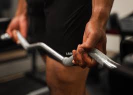 Body-Solid Olympic Curl Bar